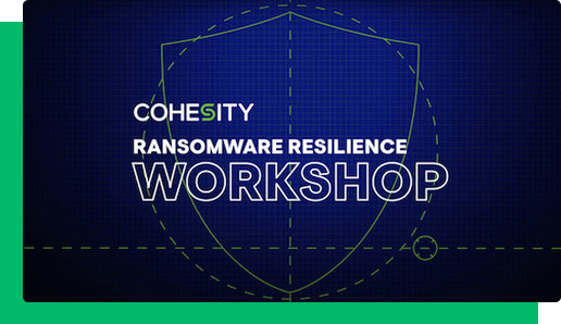 Roadmap to resilience thumbnail